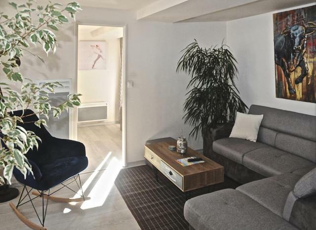 Gite, Location Meuble De Tourisme 3 Etoiles Chatillon-Coligny Экстерьер фото